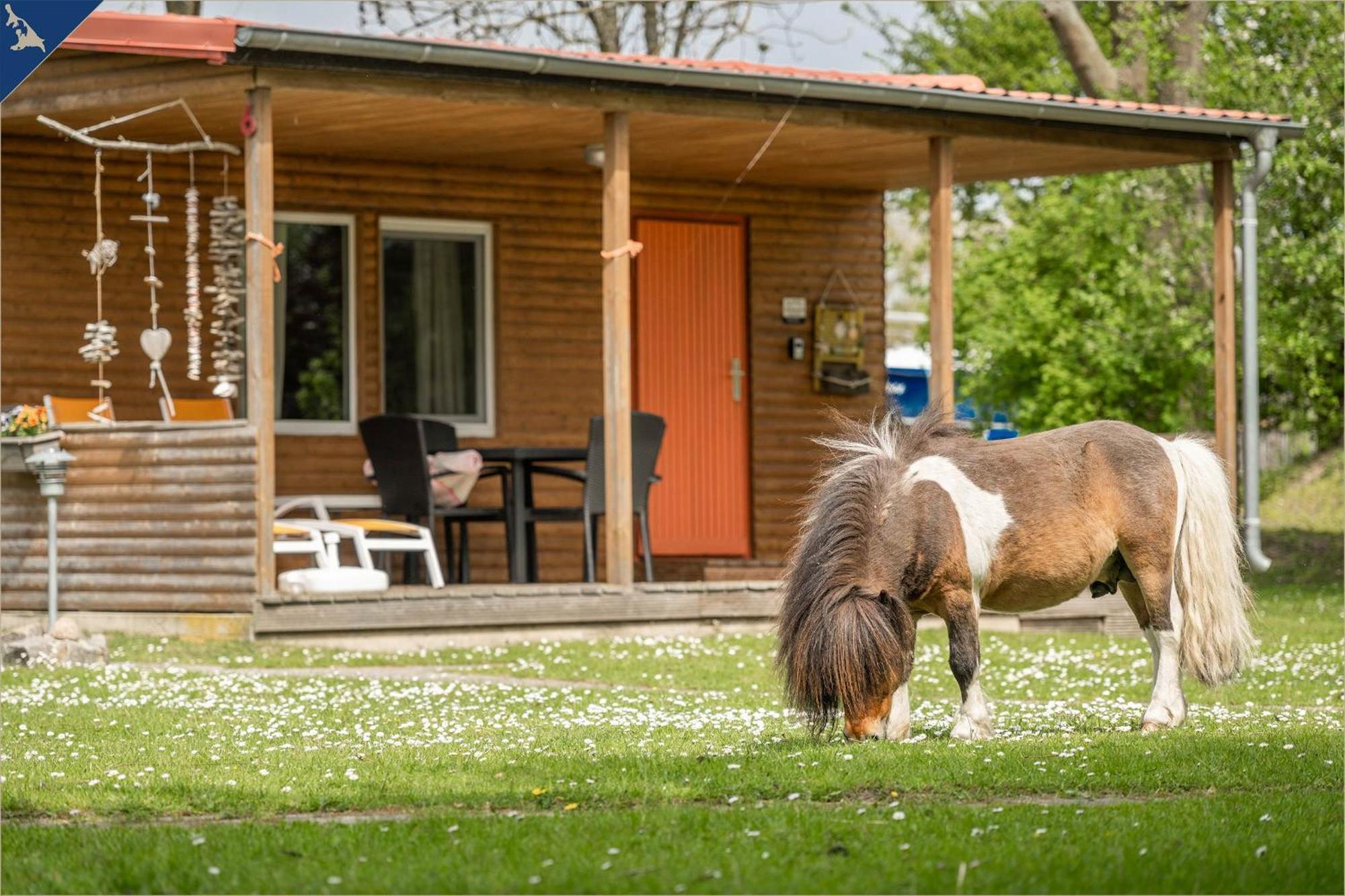 Ferienresort Moewenort Luetow Bungalow 1 Lutow Extérieur photo